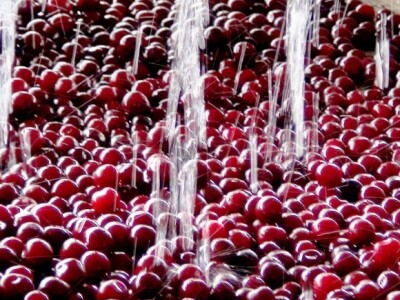 Konzerviranje domaćeg voća