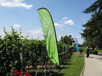 Bayer CropScience održao Dane vinograda