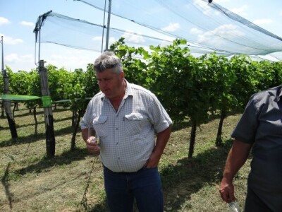 Bayer CropScience održao Dane vinograda