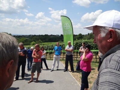 Bayer CropScience održao Dane vinograda