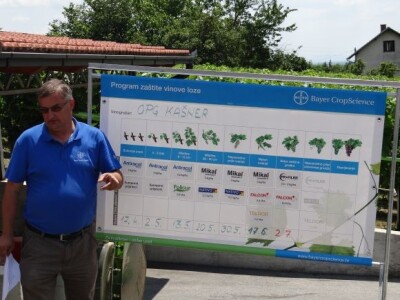 Bayer CropScience održao Dane vinograda