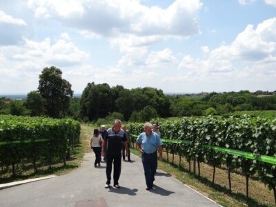 Bayer CropScience održao Dane vinograda