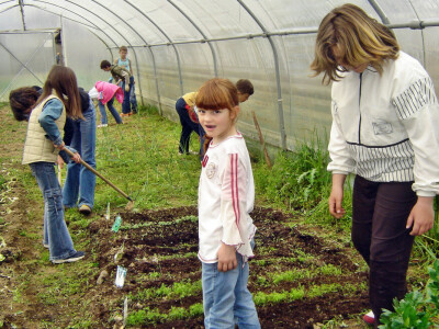 Učeničko zadrugarstvo