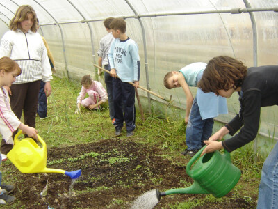 Učeničko zadrugarstvo