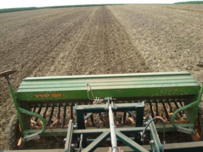 Sjetva uljane repice Sjetva uljane repice