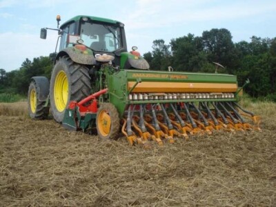 Sjetva uljane repice Sjetva uljane repice