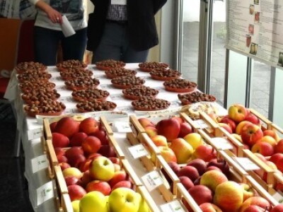 10. Znanstveno stručno Savjetovanje hrvatskih voćara s