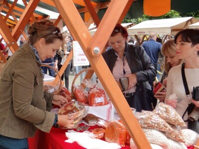 Sajam antikviteta u Osijeku!