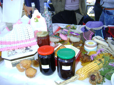 Domaći proizvodi žena sa sela