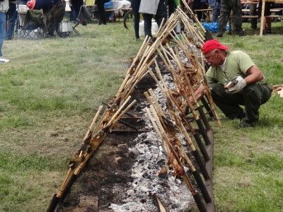Šarani na rašljama