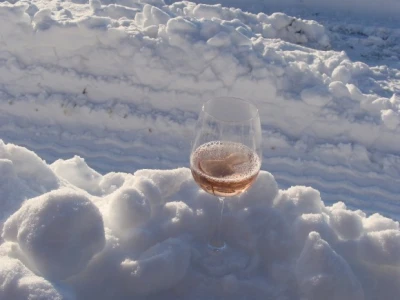 Ledena berba Beljskih vinograda
