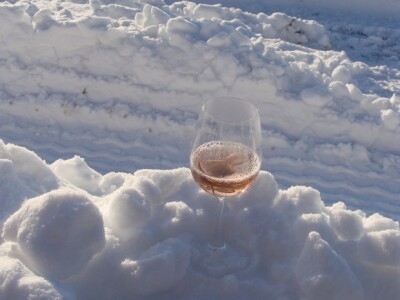 Ledena berba Beljskih vinograda