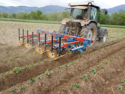 Hatzenbichler Hatzenbichler