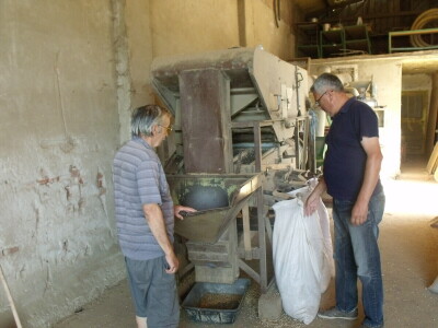 Miladinović iz Koritne