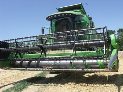 Čolaković u žetvi