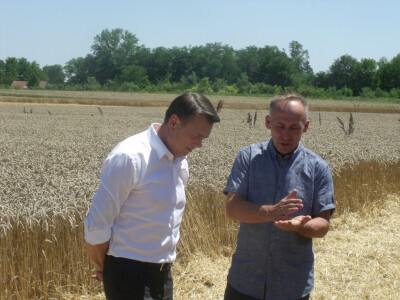 Goran Ivanović i Brlošić