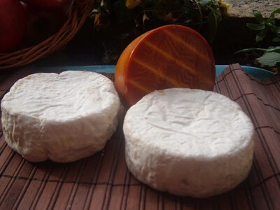 OPZ Bilogorka, Veliki Grđevac