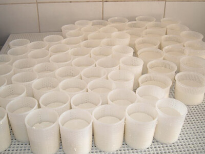 OPZ Bilogorka, Veliki Grđevac