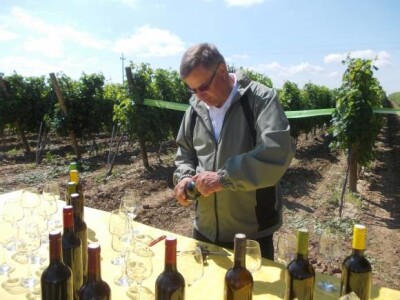 Petar Živković, Bayer