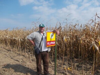 Lovas - vinogradi i kukuruzi