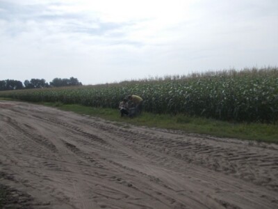 Pjeskovito tlo u Mađarskoj