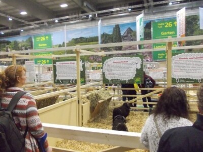 Kod stoke uvijek gužva