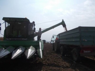 Lovas - vinogradi i kukuruzi