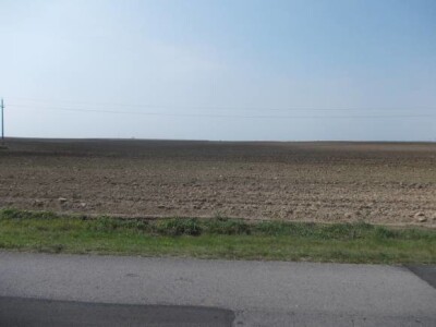 Lovas - vinogradi i kukuruzi