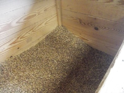 Zob mora biti kvalitetna