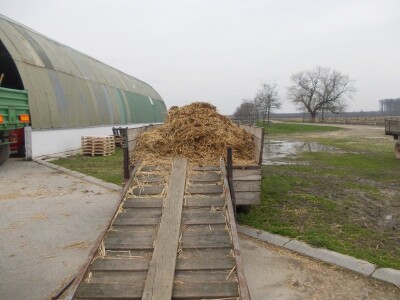 Malo i povratka na staro