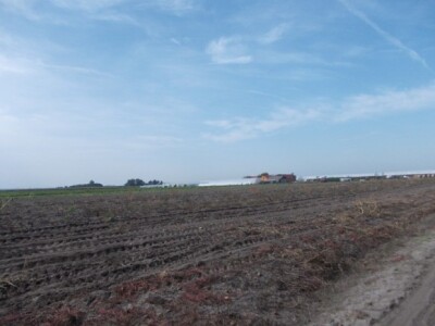 Pjeskovito tlo u Mađarskoj