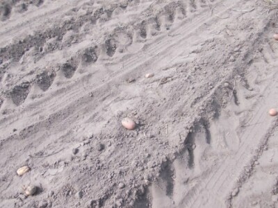 pjeskovito tlo u Mađarskoj