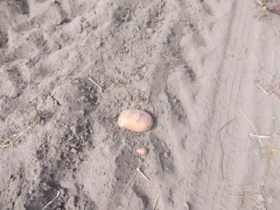 Pjeskovito tlo u Mađarskoj