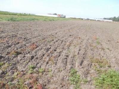 Pjeskovito tlo u Mađarskoj