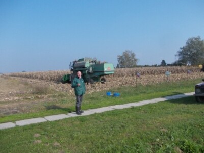 Synentini kukuruzi Synentini kukuruzi