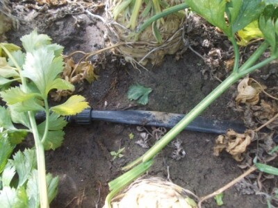 Pjeskovito tlo u Mađarskoj