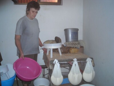 Dejan Lazić: Mala poljoprivredna gazdinstva mogu solidno da zarade