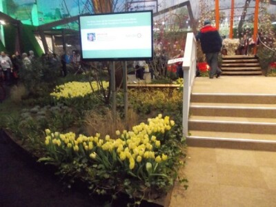 Nizozemska i cvijeće