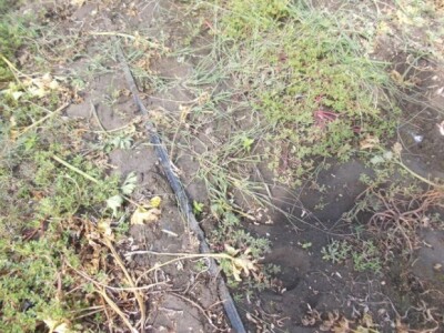 Pjeskovito tlo u Mađarskoj