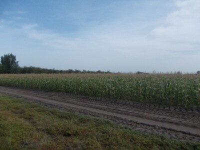 Pjeskovito tlo u Mađarskoj