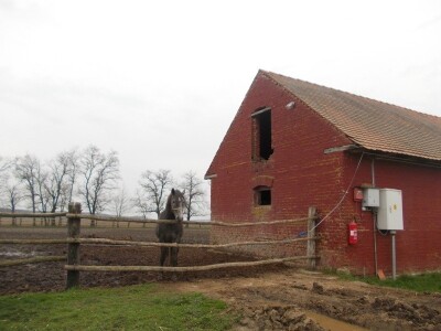 Po nekoliko sati su vani i u ovo doba godine
