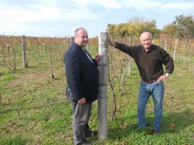 Podrum i vinograd Vinka Medića Podrum i vinograd Vinka Medića
