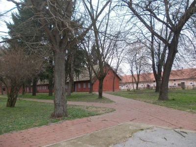 Uređene staze