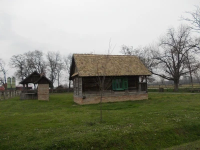 Lipicanci zimi na Ivandvoru
