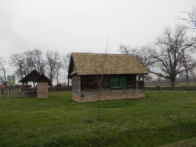 Lipicanci zimi na Ivandvoru