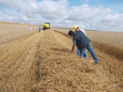 Žetva i baliranje slame u Francuskom Troyesu