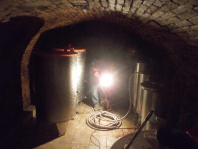 Podrum i vinograd Vinka Medića Podrum i vinograd Vinka Medića