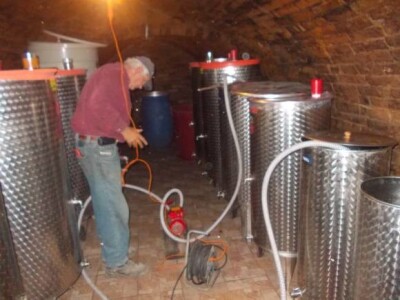 Berba i podrumi Suza i Zmajevac