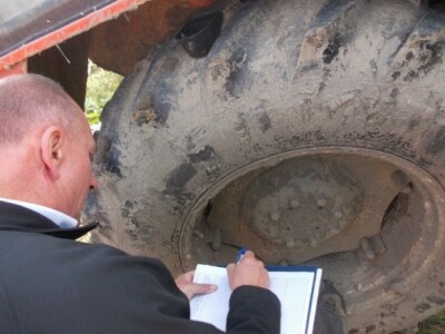 Synentini kukuruzi Synentini kukuruzi