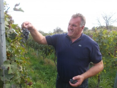 Podrum i vinograd Pere Kusića